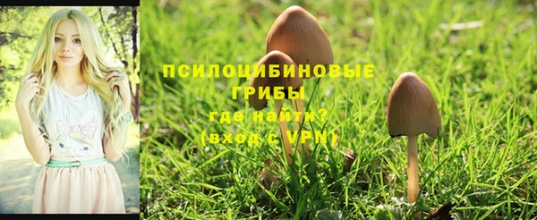 кокаин премиум Арсеньев