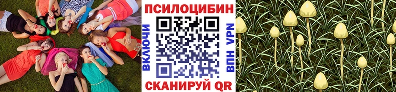 Псилоцибиновые грибы Cubensis Удомля