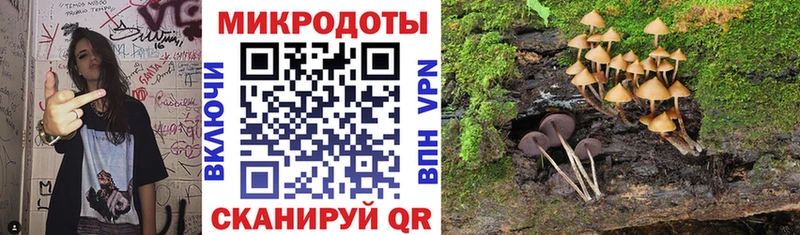 Псилоцибиновые грибы Psilocybe  Удомля 